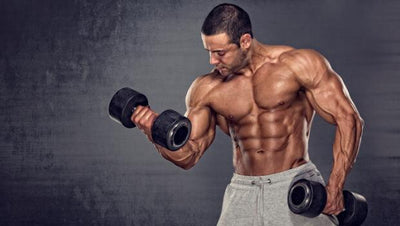 HOW TO TRAIN FOR MUSCLE GAINS