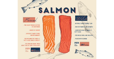 WHY FARMED SALMON CAN BE HARMFUL TO YOUR HEALTH