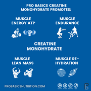 Pro Basics Nutrition Creatine Monohydrate Pro Basics Creatine promotes Muscle Energy ATP Muscle Endurance Lean Muscle Mass Muscle Hydration